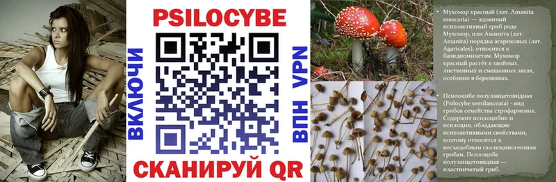 даркнет клад  Бирск  Псилоцибиновые грибы Magic Shrooms 